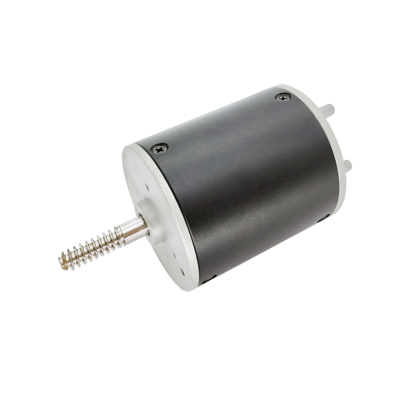 24V 36V BL6070 Borstelloze motor voor koffiemachines en bonenmaling