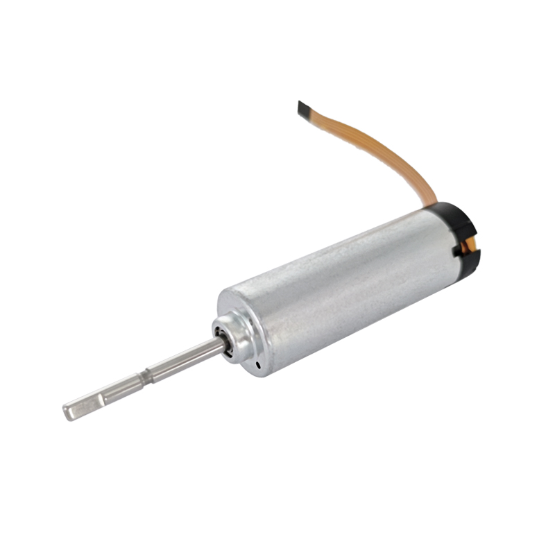 Elektrische tandenborstelborstelloze motor